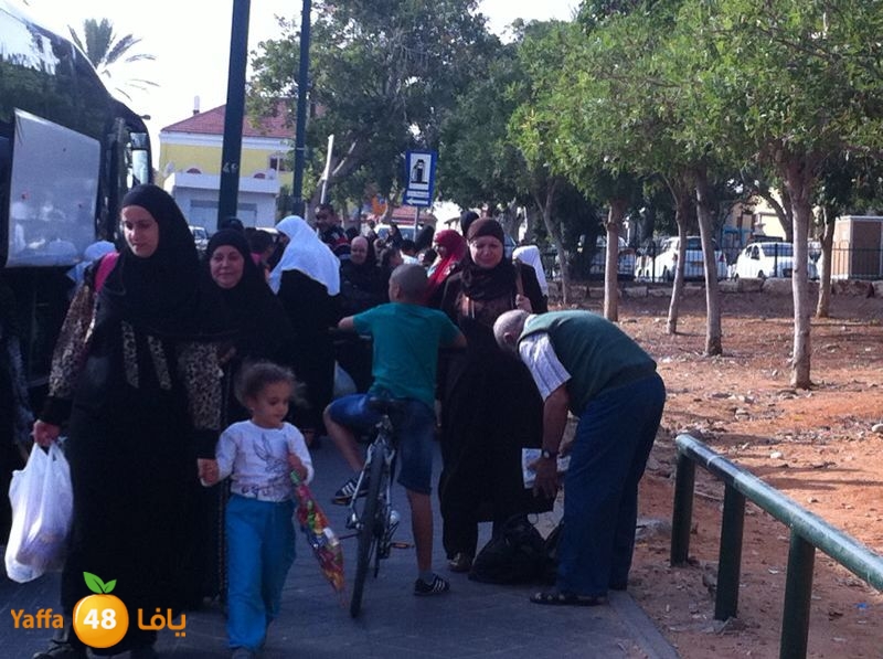 aqsa shad re7al 1104 (3).jpg